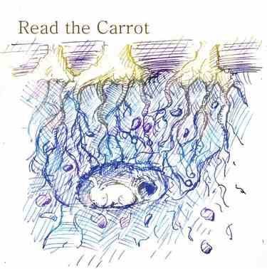 read the carrot